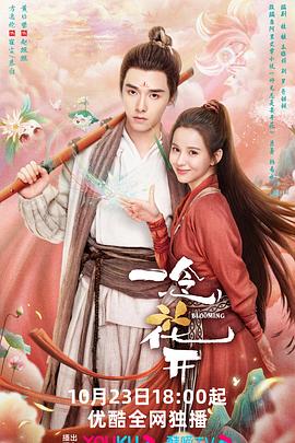 周口seo哪家便宜